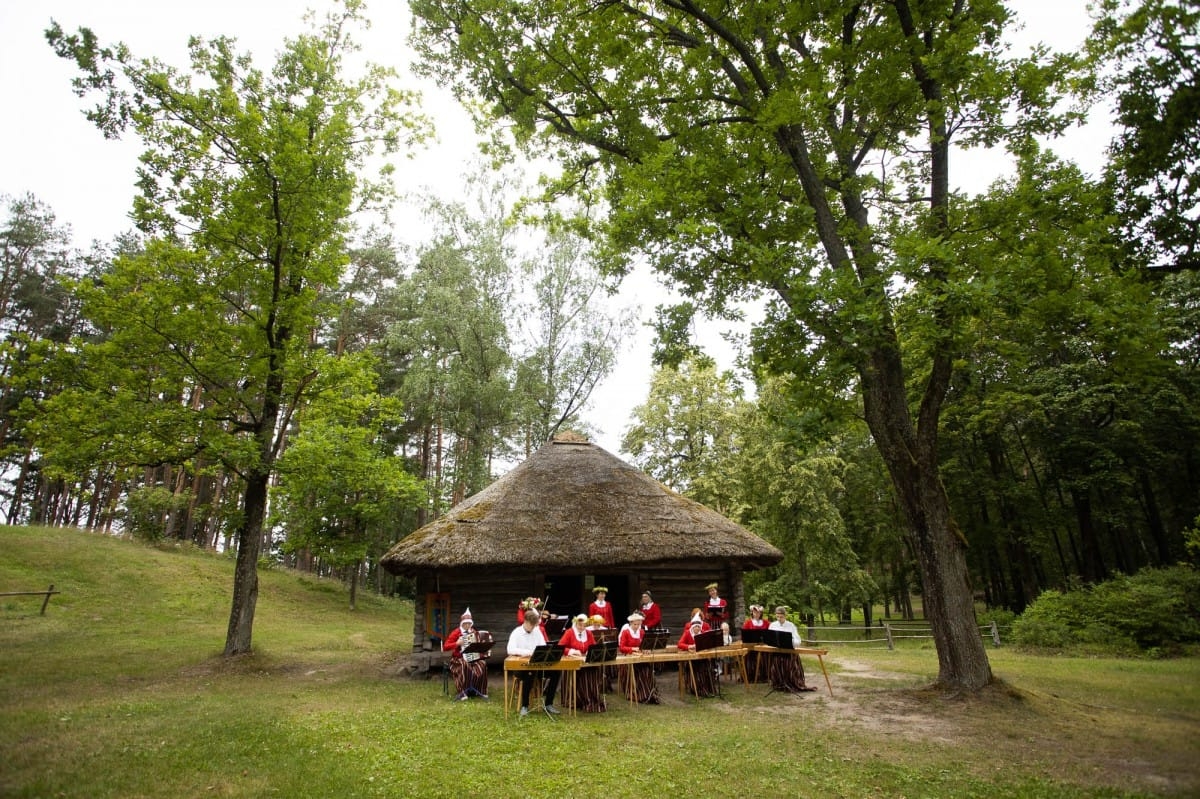 Kokļu diena Pēteros | 29/06/2019