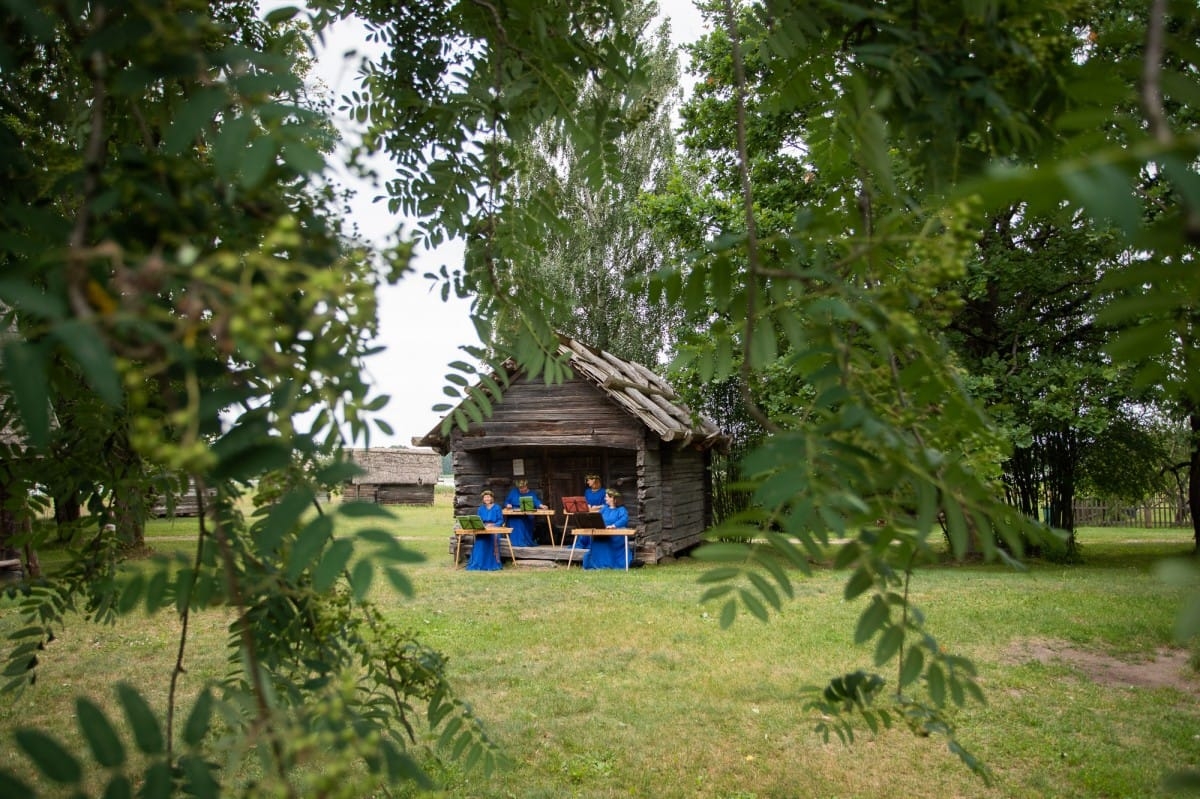 Kokļu diena Pēteros | 29/06/2019